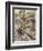 The Wind in the Willows-Arthur Rackham-Framed Giclee Print