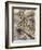 The Wind in the Willows-Arthur Rackham-Framed Giclee Print