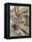 The Wind in the Willows-Arthur Rackham-Framed Premier Image Canvas