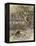 The Wind in the Willows-Arthur Rackham-Framed Premier Image Canvas