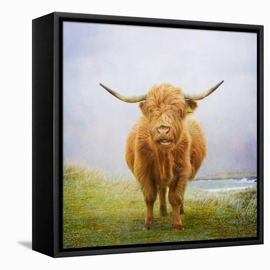 The Wind May Blow-David Baker-Framed Premier Image Canvas