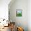 The Wind - Turtle-Elisa Chavarri-Framed Premier Image Canvas displayed on a wall