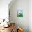 The Wind - Turtle-Elisa Chavarri-Giclee Print displayed on a wall