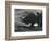 The Wind-Jean-Baptiste-Camille Corot-Framed Premium Giclee Print