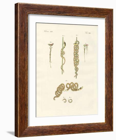 The Winding Nais-null-Framed Giclee Print