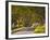 The Winding Road Through the Beech Avenue at Kingston Lacy, Dorset, England, United Kingdom, Europe-Julian Elliott-Framed Photographic Print