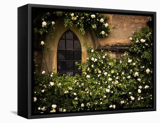 the Window 3-Doug Chinnery-Framed Premier Image Canvas