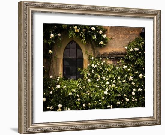 the Window 3-Doug Chinnery-Framed Photographic Print