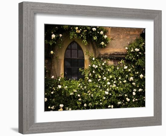 the Window 3-Doug Chinnery-Framed Photographic Print