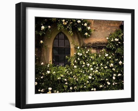 the Window 3-Doug Chinnery-Framed Photographic Print