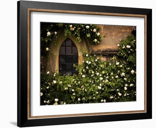 the Window 3-Doug Chinnery-Framed Photographic Print