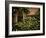 the Window 3-Doug Chinnery-Framed Photographic Print