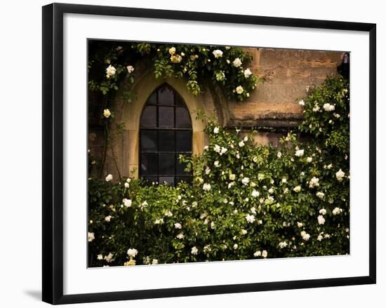 the Window 3-Doug Chinnery-Framed Photographic Print