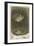 The Wine Glass, 1858-James Abbott McNeill Whistler-Framed Giclee Print