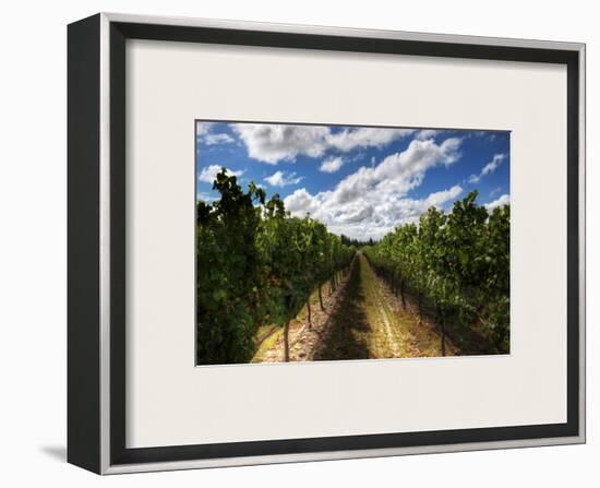 The Wines of New Zealand-Trey Ratcliff-Framed Photographic Print