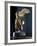 The Winged Victory or Nike of Samothrace, Marble, c. 190 BC-null-Framed Photographic Print