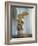 The Winged Victory or Nike of Samothrace-null-Framed Photographic Print