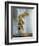 The Winged Victory or Nike of Samothrace-null-Framed Photographic Print