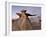 The Wings at Dusk, Bisti Wilderness, New Mexico, United States of America, North America-James Hager-Framed Photographic Print