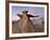 The Wings at Dusk, Bisti Wilderness, New Mexico, United States of America, North America-James Hager-Framed Photographic Print