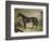 The Winner-John Frederick Herring II-Framed Giclee Print