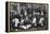 The Winning Oxford Boat Race Crew, 1896-null-Framed Premier Image Canvas