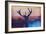 The Winter Moose-Markus Bleichner-Framed Art Print