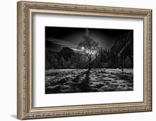 The Winter Spirit-Simon ChengLu-Framed Photographic Print