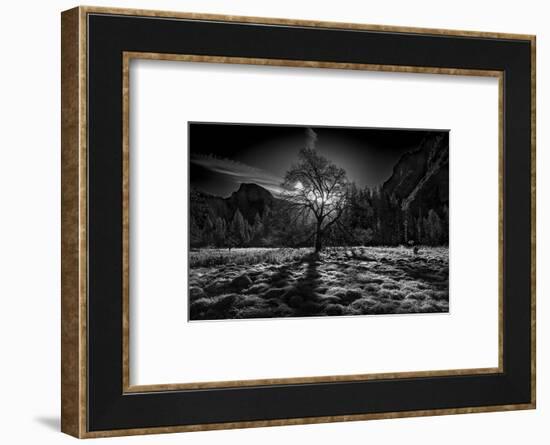 The Winter Spirit-Simon ChengLu-Framed Photographic Print