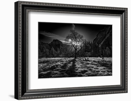 The Winter Spirit-Simon ChengLu-Framed Photographic Print