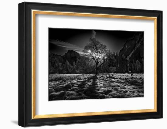 The Winter Spirit-Simon ChengLu-Framed Photographic Print