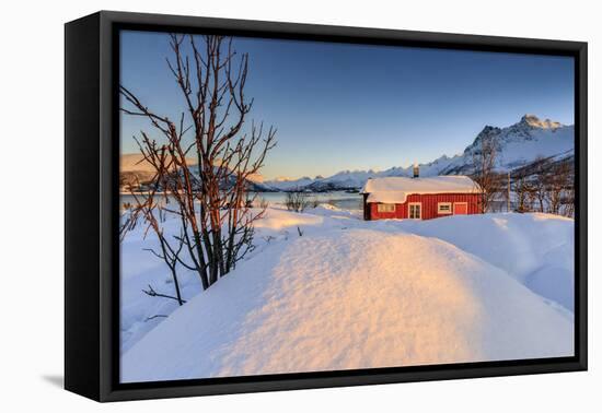 The Winter Sun Illuminates a Typical Norwegian Red House Surrounded by Fresh Snow-Roberto Moiola-Framed Premier Image Canvas