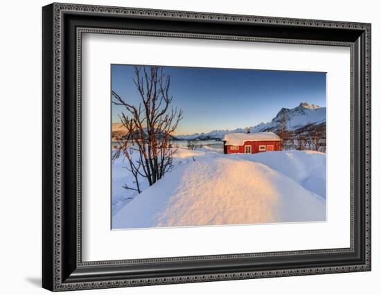 The Winter Sun Illuminates a Typical Norwegian Red House Surrounded by Fresh Snow-Roberto Moiola-Framed Photographic Print