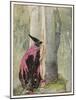 The Witch Spies on Rapunzel-Anne Anderson-Mounted Art Print