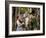 The Wizard of Oz, from Left: Judy Garland, Jack Haley, Ray Bolger, 1939-null-Framed Premium Photographic Print