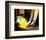 The Wizard of Oz-null-Framed Photo