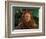 The Wizard of Oz-null-Framed Photo