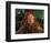 The Wizard of Oz-null-Framed Photo