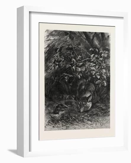 The Wolf in its Lair, 1882-null-Framed Giclee Print