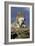 The Wolf King-Susann Parker-Framed Photographic Print