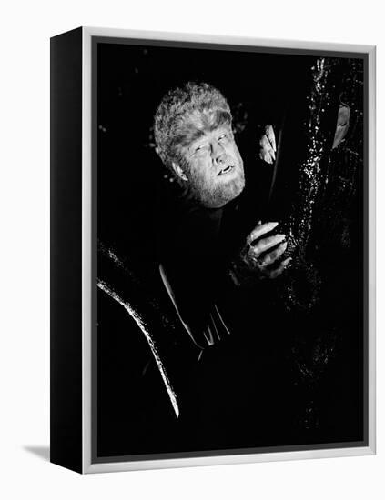 The Wolf Man, 1941-null-Framed Premier Image Canvas