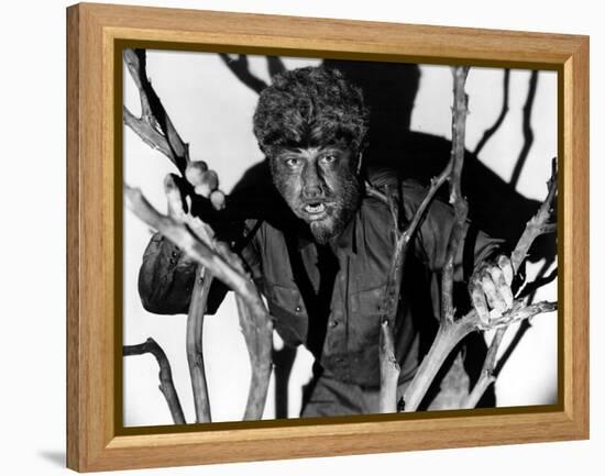 The Wolf Man, Lon Chaney, Jr., 1941-null-Framed Stretched Canvas