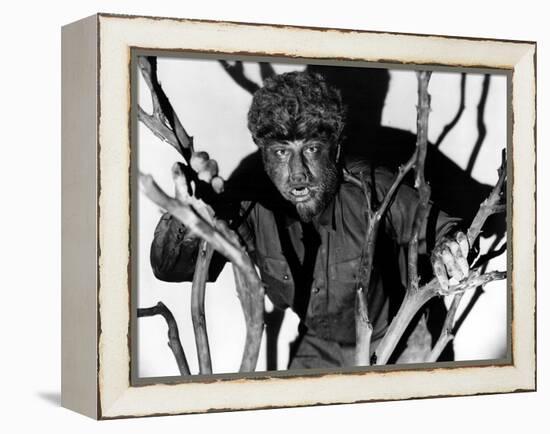 The Wolf Man, Lon Chaney, Jr., 1941-null-Framed Stretched Canvas