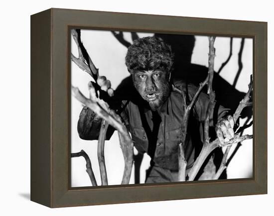 The Wolf Man, Lon Chaney, Jr., 1941-null-Framed Stretched Canvas