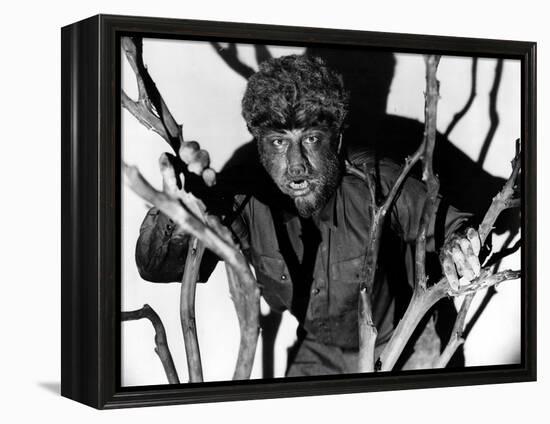 The Wolf Man, Lon Chaney, Jr., 1941-null-Framed Stretched Canvas