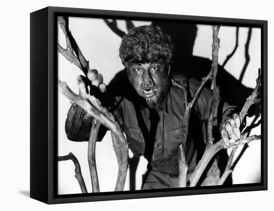 The Wolf Man, Lon Chaney, Jr., 1941-null-Framed Stretched Canvas