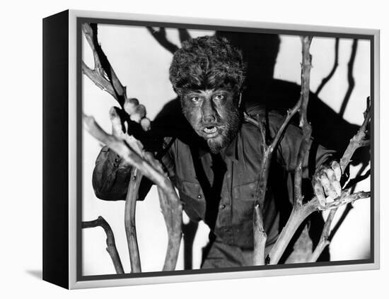 The Wolf Man, Lon Chaney, Jr., 1941-null-Framed Stretched Canvas