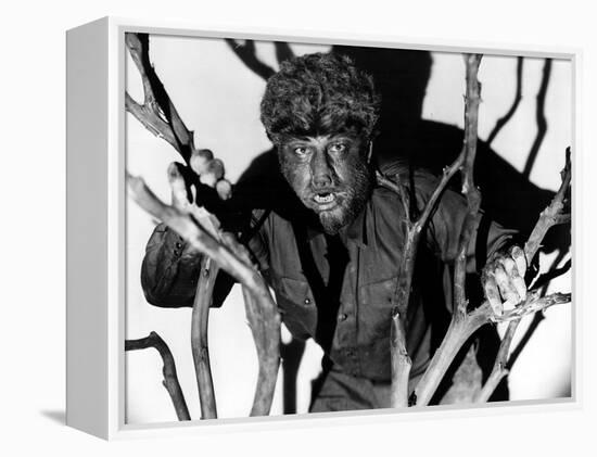 The Wolf Man, Lon Chaney, Jr., 1941-null-Framed Stretched Canvas