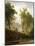 The Wolf River, Kansas, c.1859-Albert Bierstadt-Mounted Giclee Print