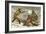 The Wolf - 'The Noble Sacrifice'-Johann Baptist Zwecker-Framed Giclee Print